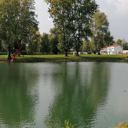 Residence Le Querce Cordovado エクステリア 写真